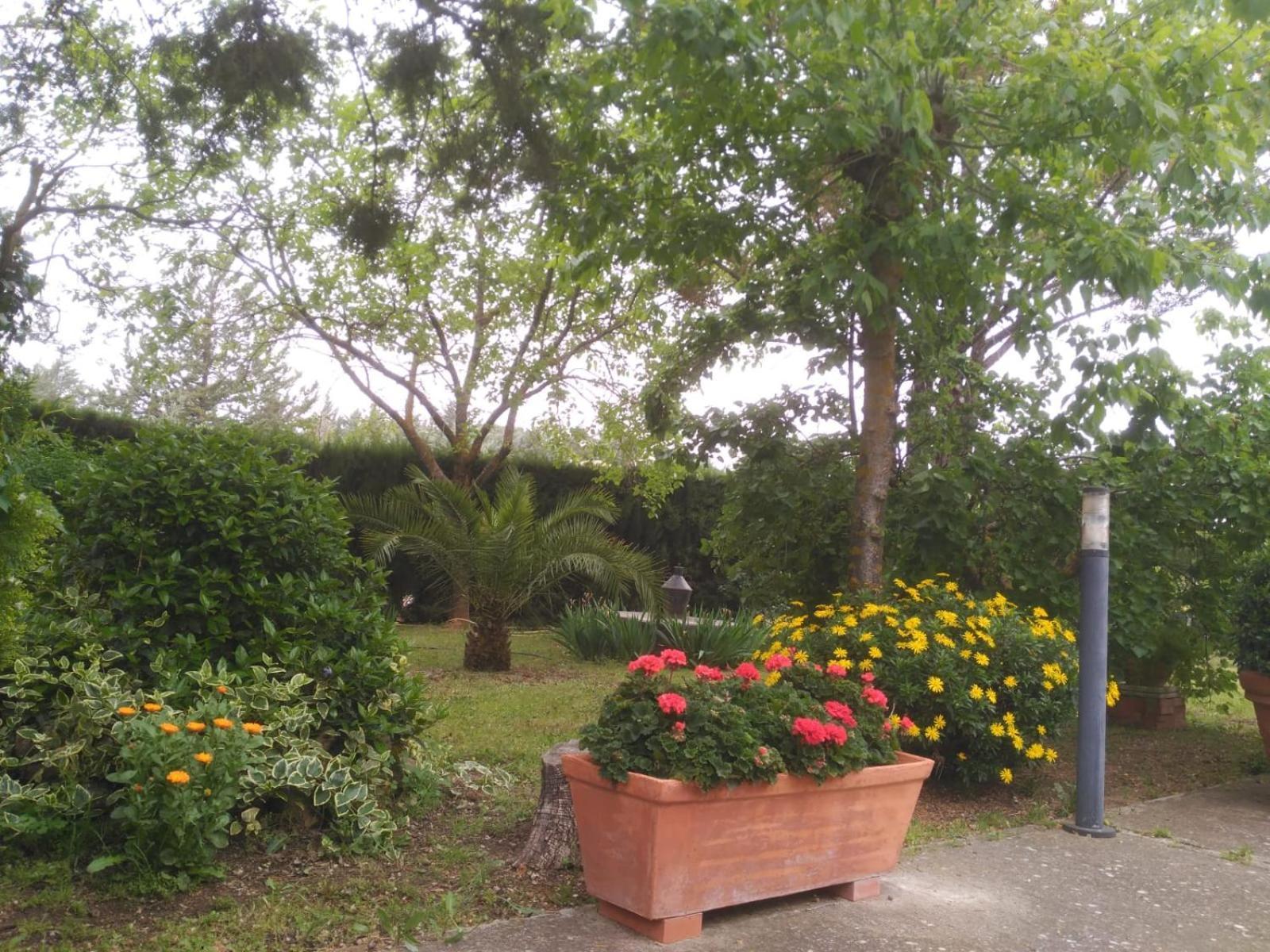 Vivienda Turistica Rural Mari Carmen Villa Baeza Exterior photo